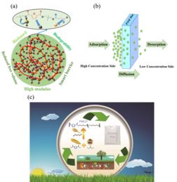 中科院寧波材料所張若愚研究員與朱錦研究員團隊在高阻隔生物可降解聚酯材料領域取得進展